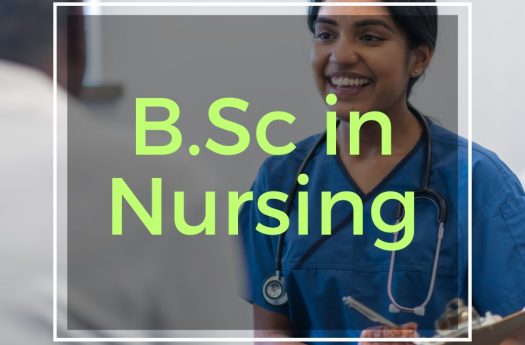 B.Sc in Nursing in sylhet