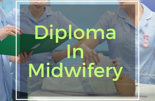 Diploma in Midwifery